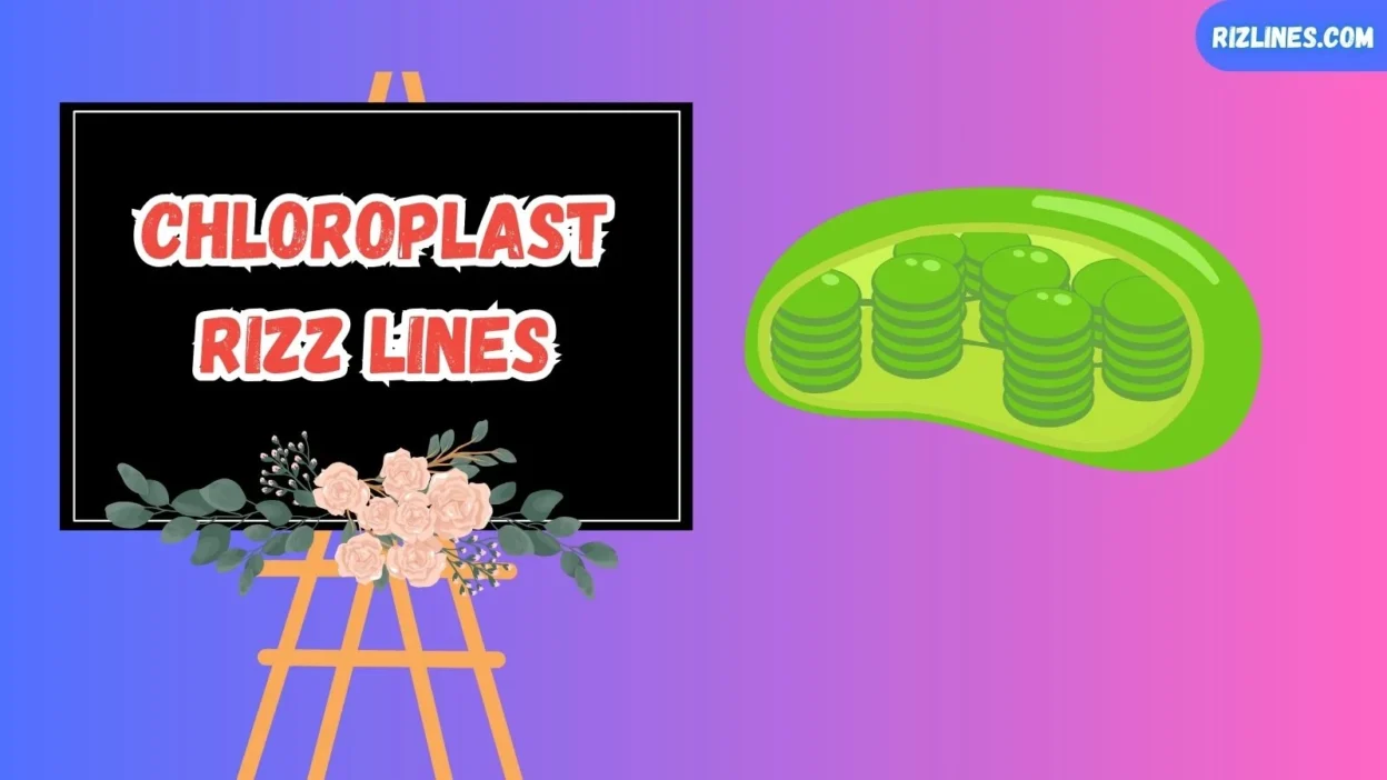 Chloroplast Rizz Lines