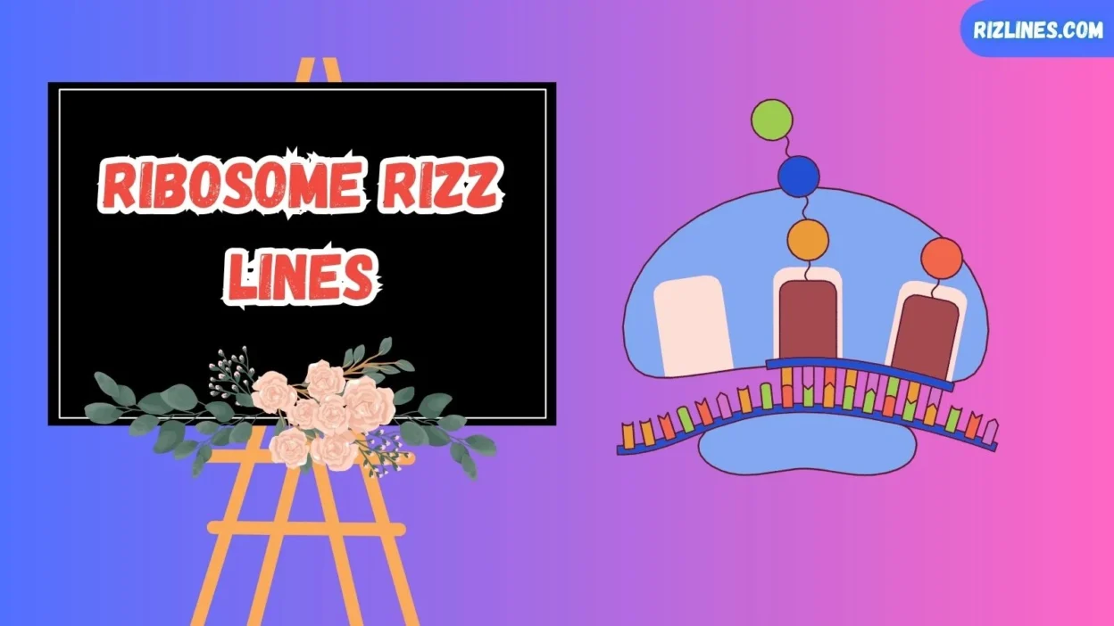Ribosome Rizz Lines