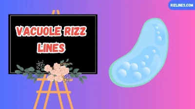 Vacuole Rizz Lines